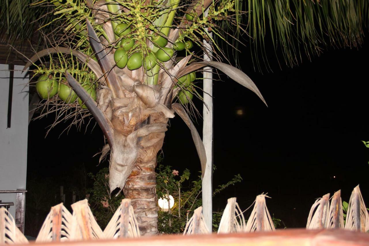 Pousada Thai Bungalows-Taipu De Fora Barra Grande  Exterior foto